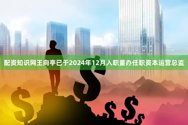 配资知识网王向亭已于2024年12月入职董办任职资本运营总监